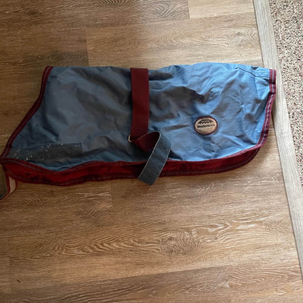 Dog coat